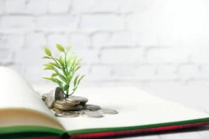 DocLegno società benefit